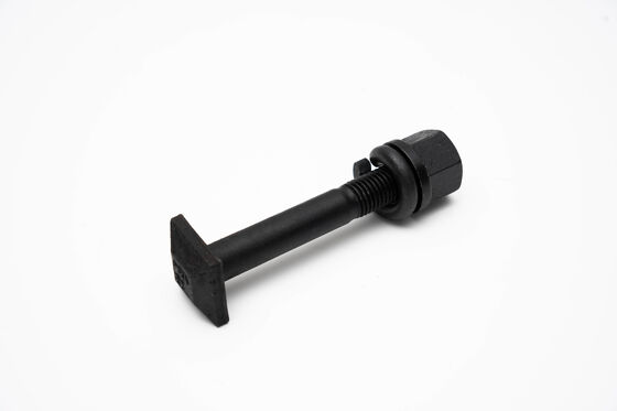 Square Head Fishbolt For Railway Fastening System , Grade 8.8 10.9 Rail Joint Bolt